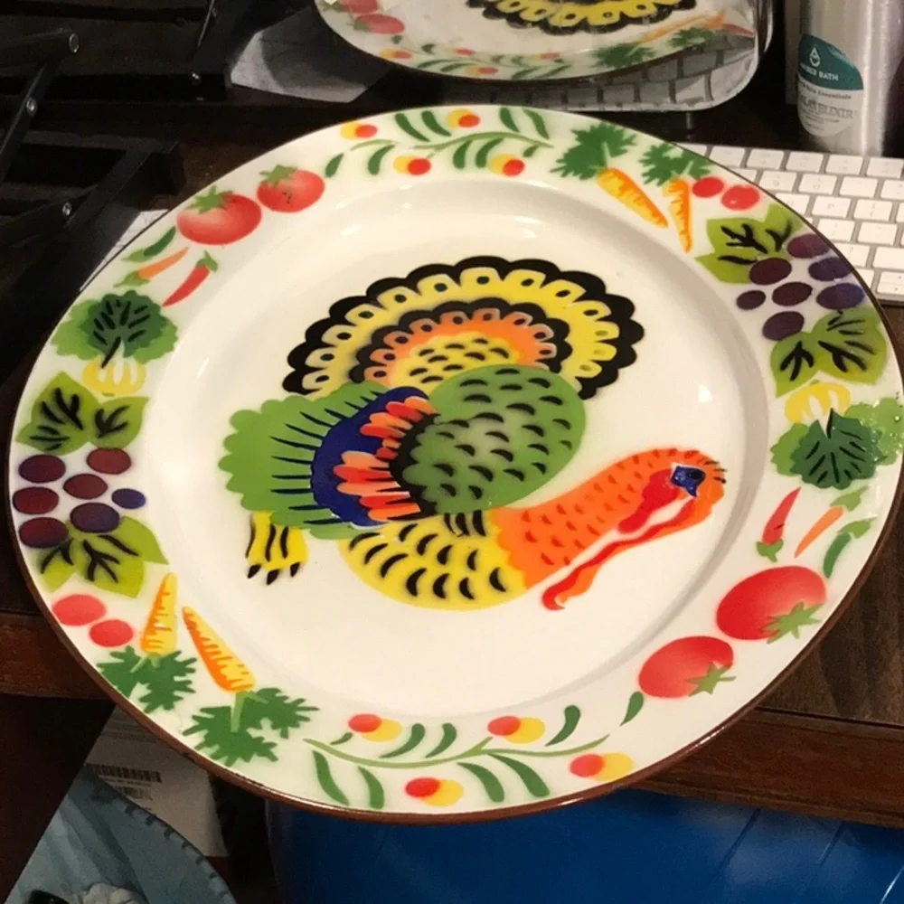 Turkey Enamelware Platter HUGE Oval Platter Bright Colors Texture HONG KONG